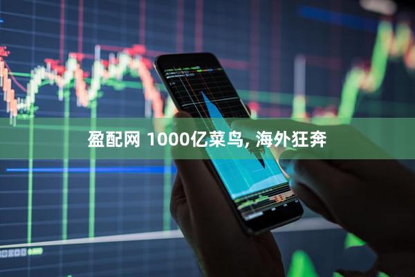 盈配网 1000亿菜鸟, 海外狂奔